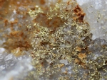 Native gold on quartz