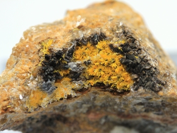 Boltwoodite [radioactive Mineral]