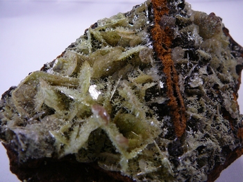 Thin green wulfenite crystals