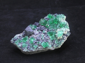 Fluorite with galena