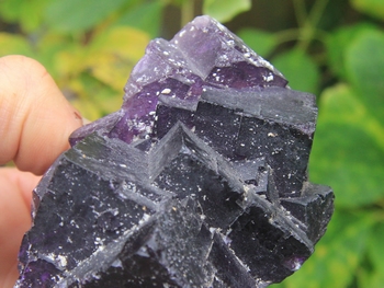 Deep purple fluorite