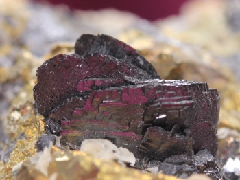 Wolframite with chalcopyrite and sphalerite.