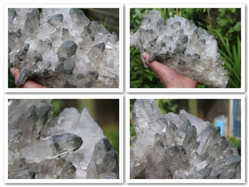 Clear quartz crystals with dark green Chlorite