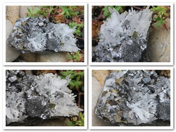 Combo of minerals: chalcopyrite, sphalerite, pyrite, quartz
