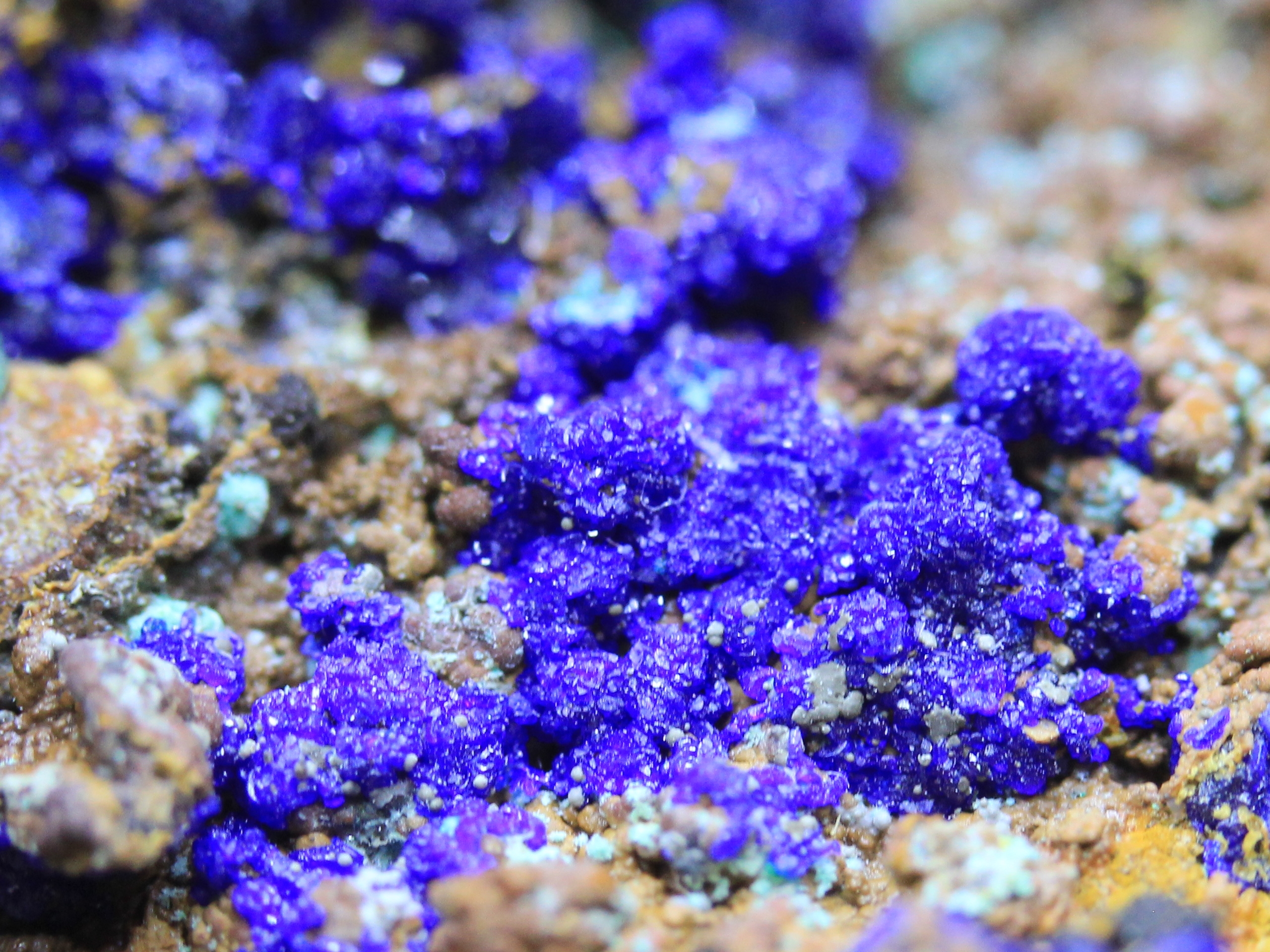 Azurite, malachite, and others (microcrystals Zálesíite ?)