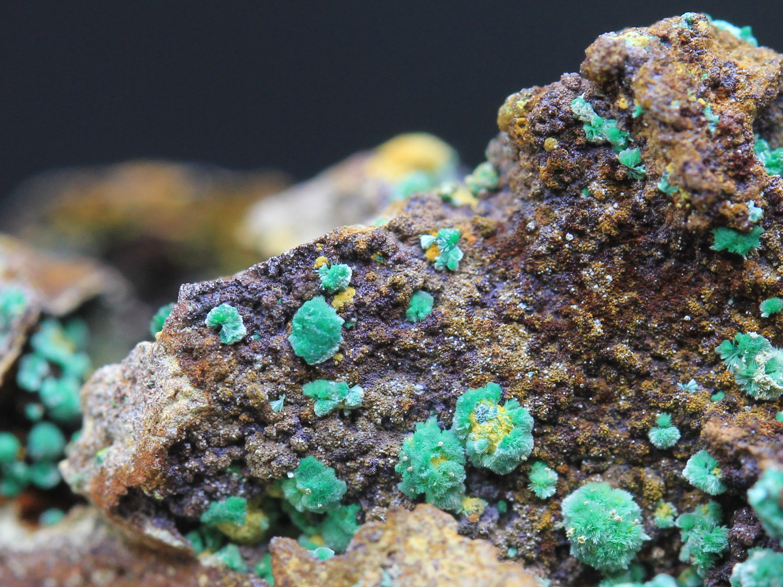 Azurite, malachite, and others (microcrystals Zálesíite ?)