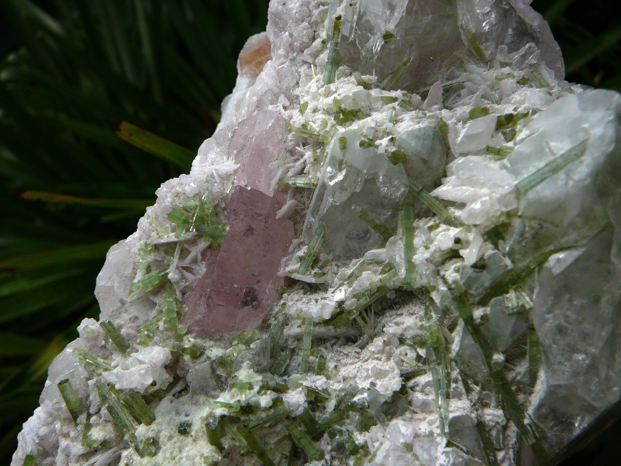 Beryl (var. Morganite) with green tourmaline crystals
