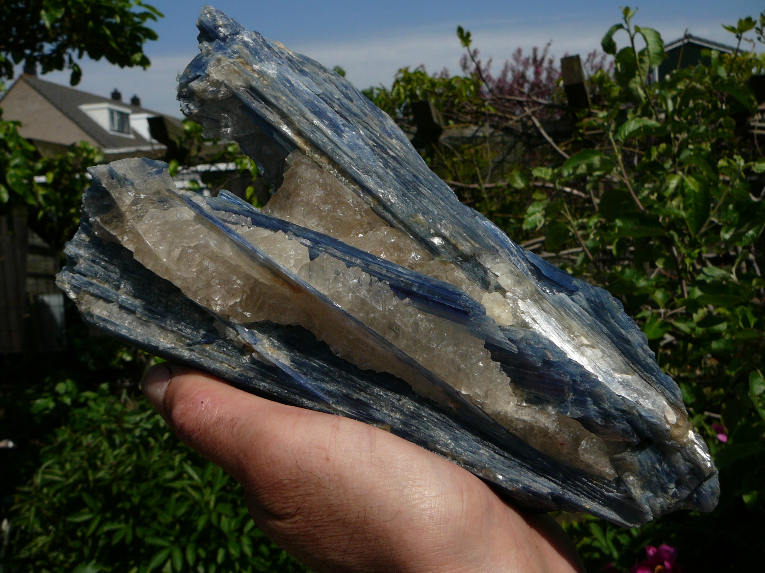 Blue kyanite crystals in a matrix of semi-transparent quartz