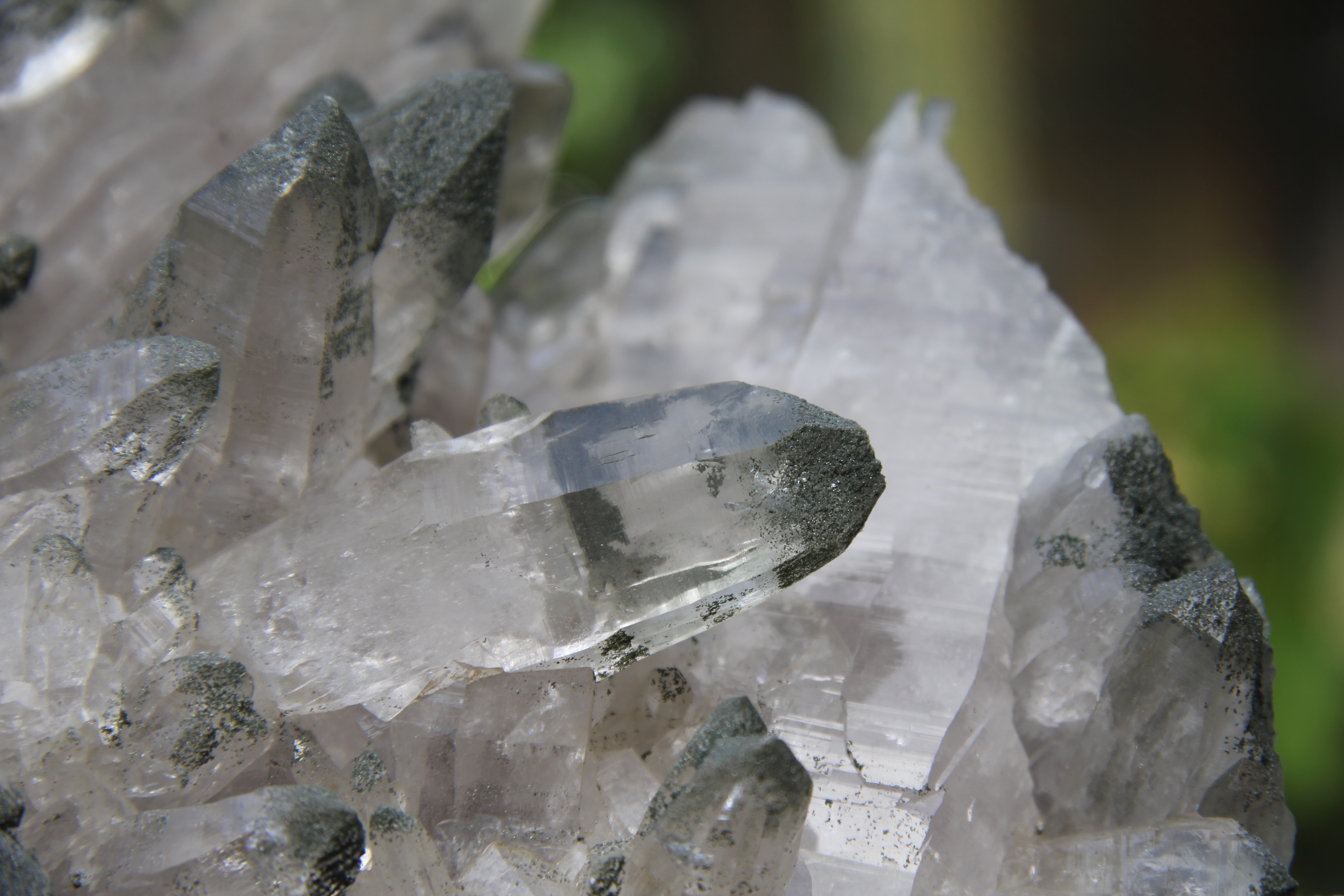 Clear quartz crystals with dark green Chlorite