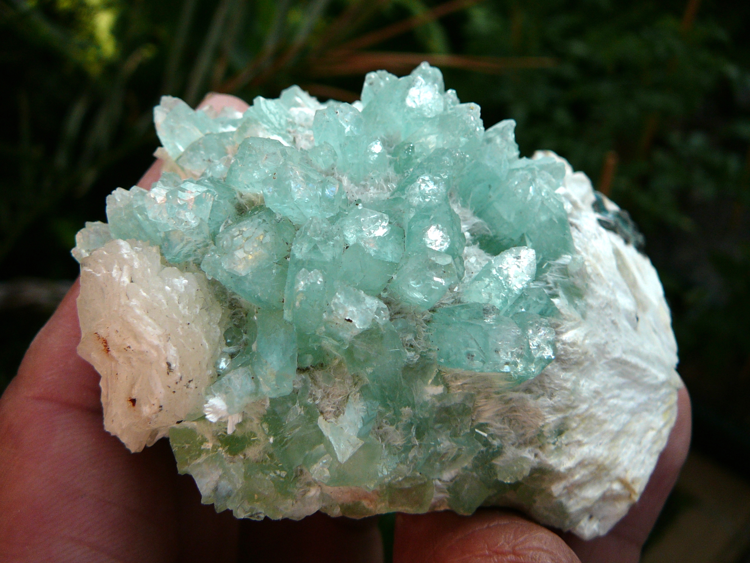 Fluor-Apophylite crystals