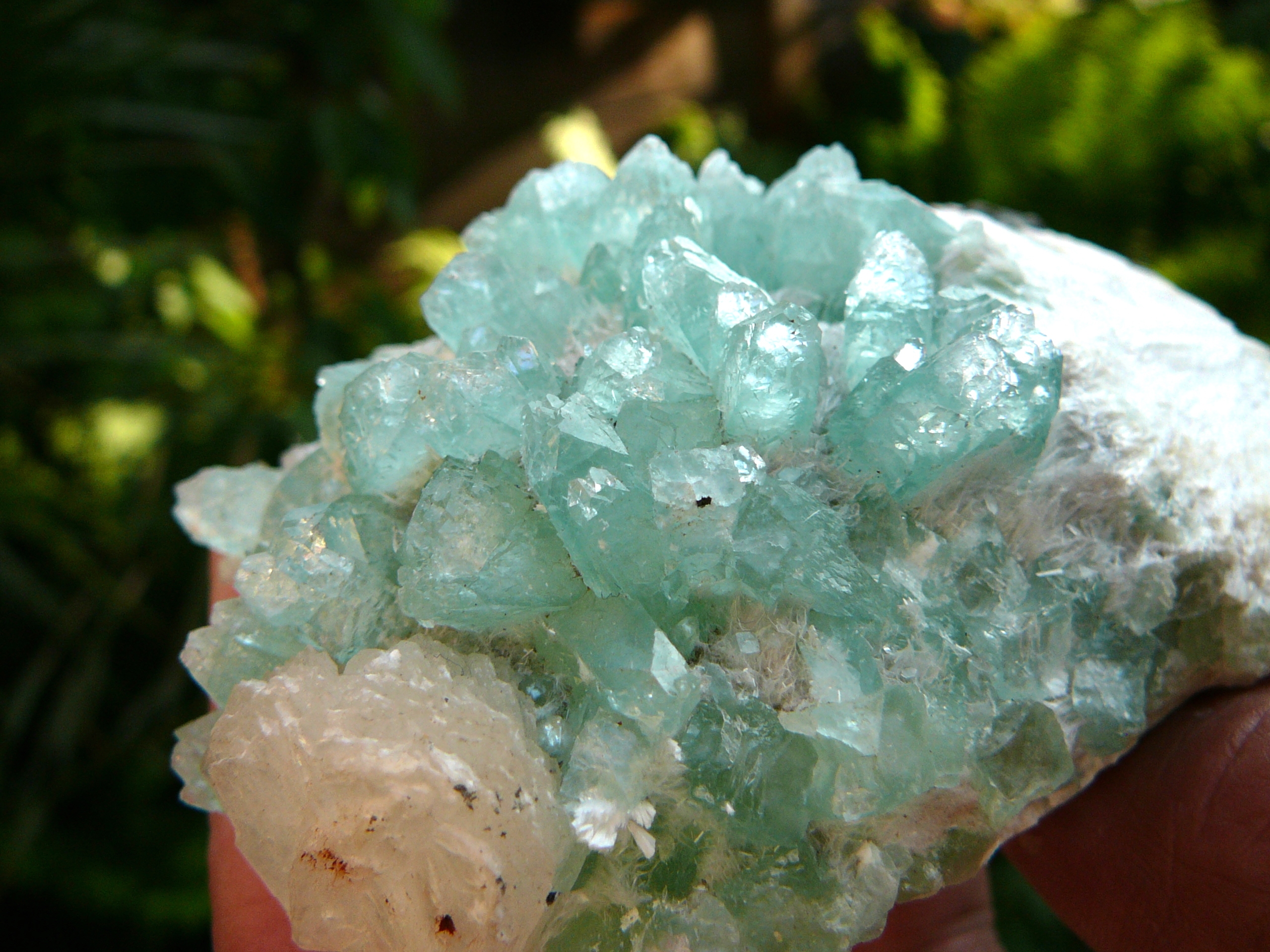 Fluor-Apophylite crystals