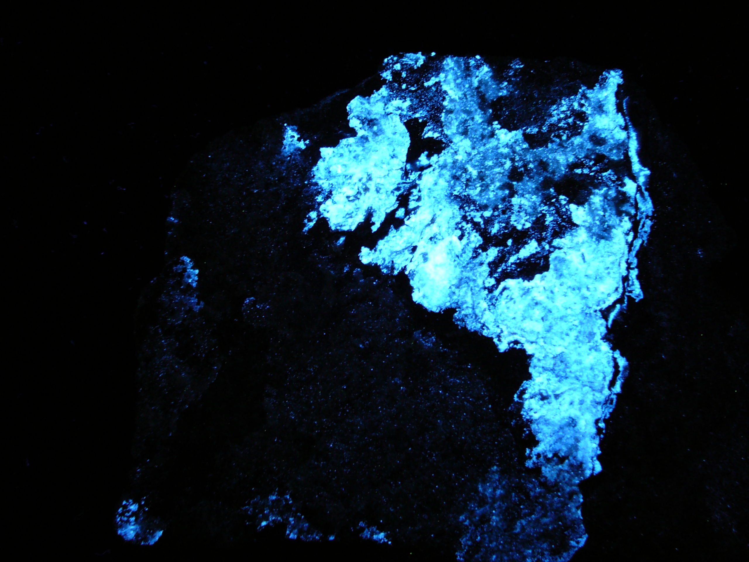 Fluorescent scheelite