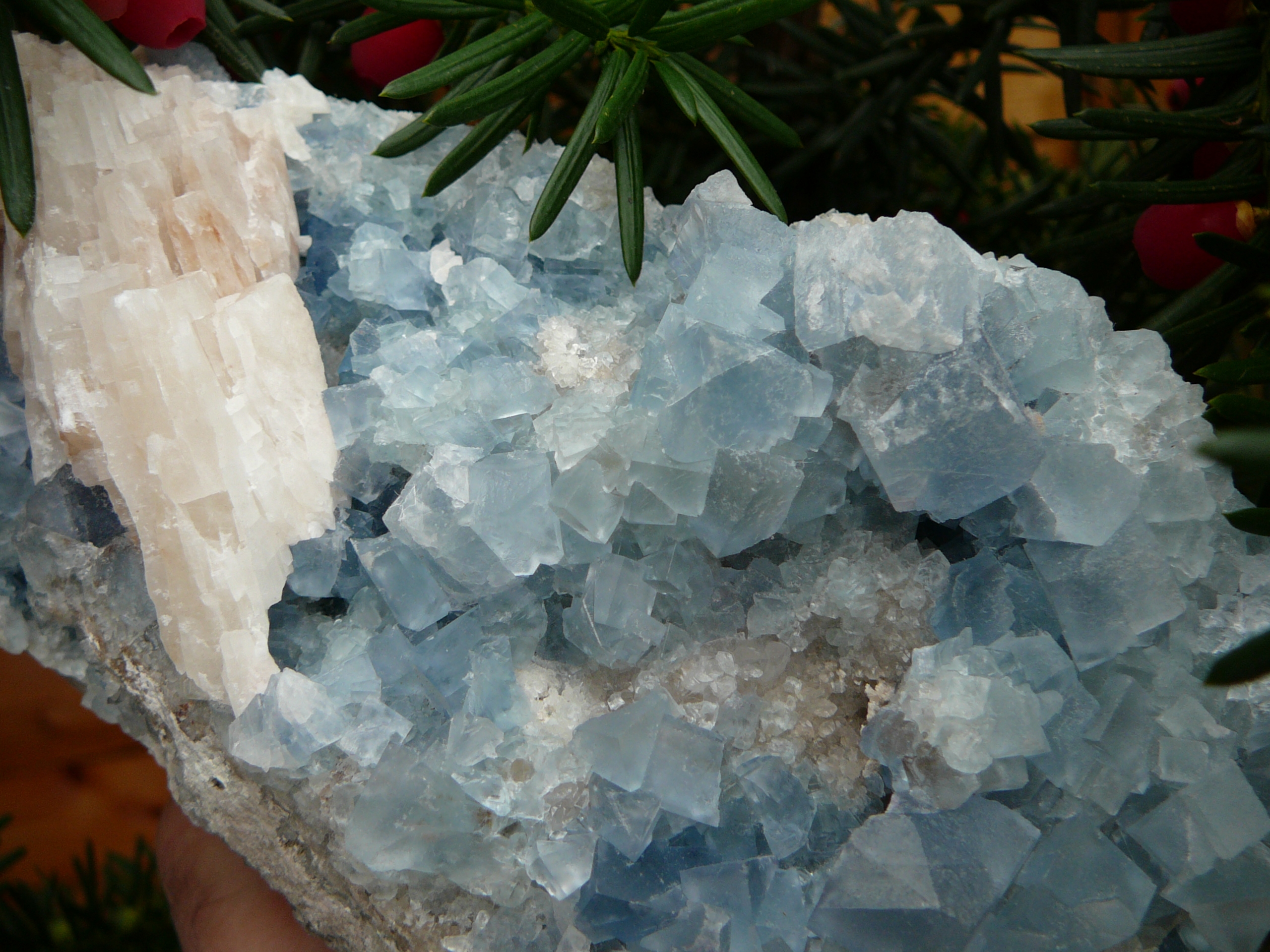 Fluorite (light blue) - Bingham.