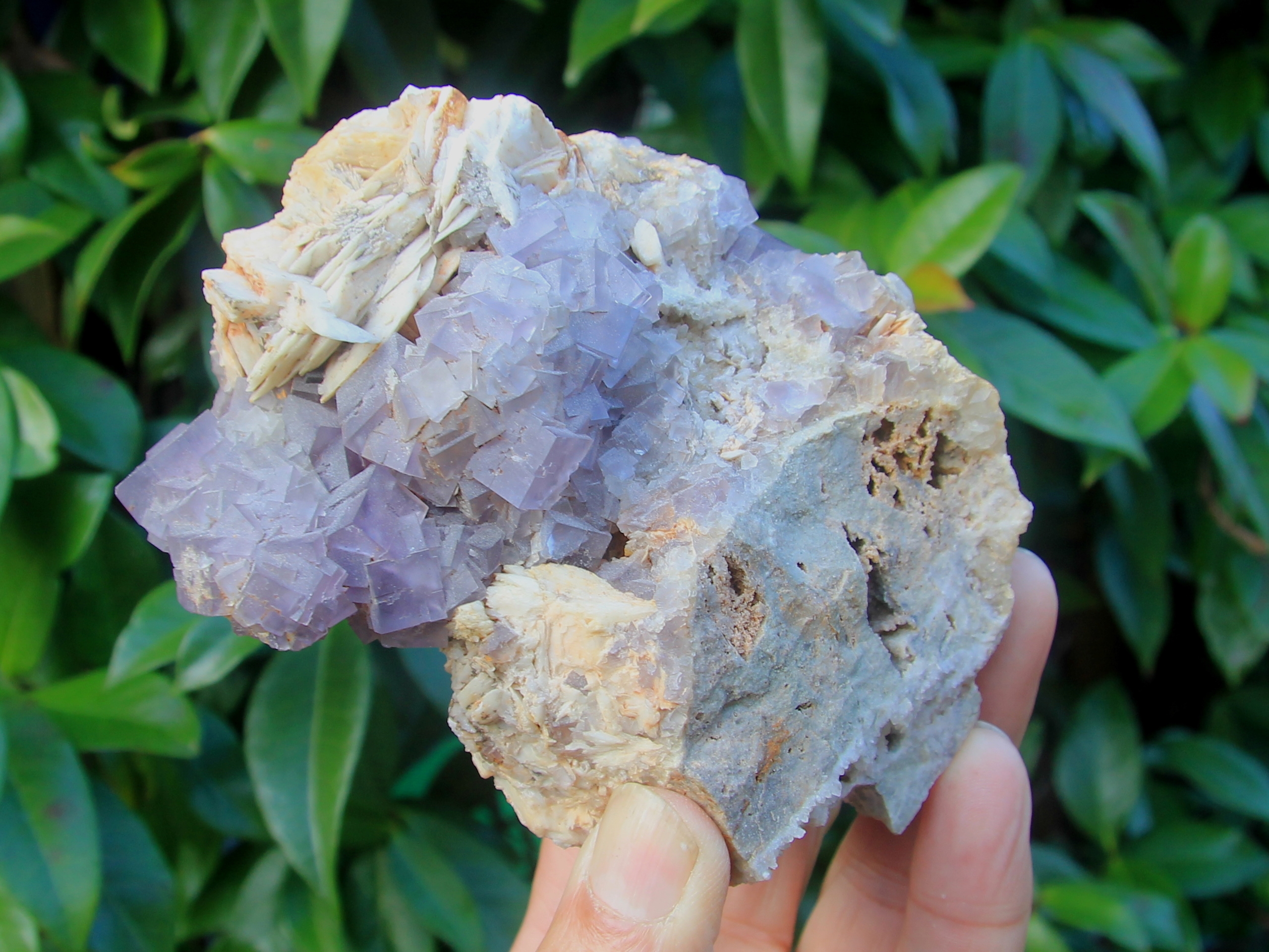 Fluorite and baryte