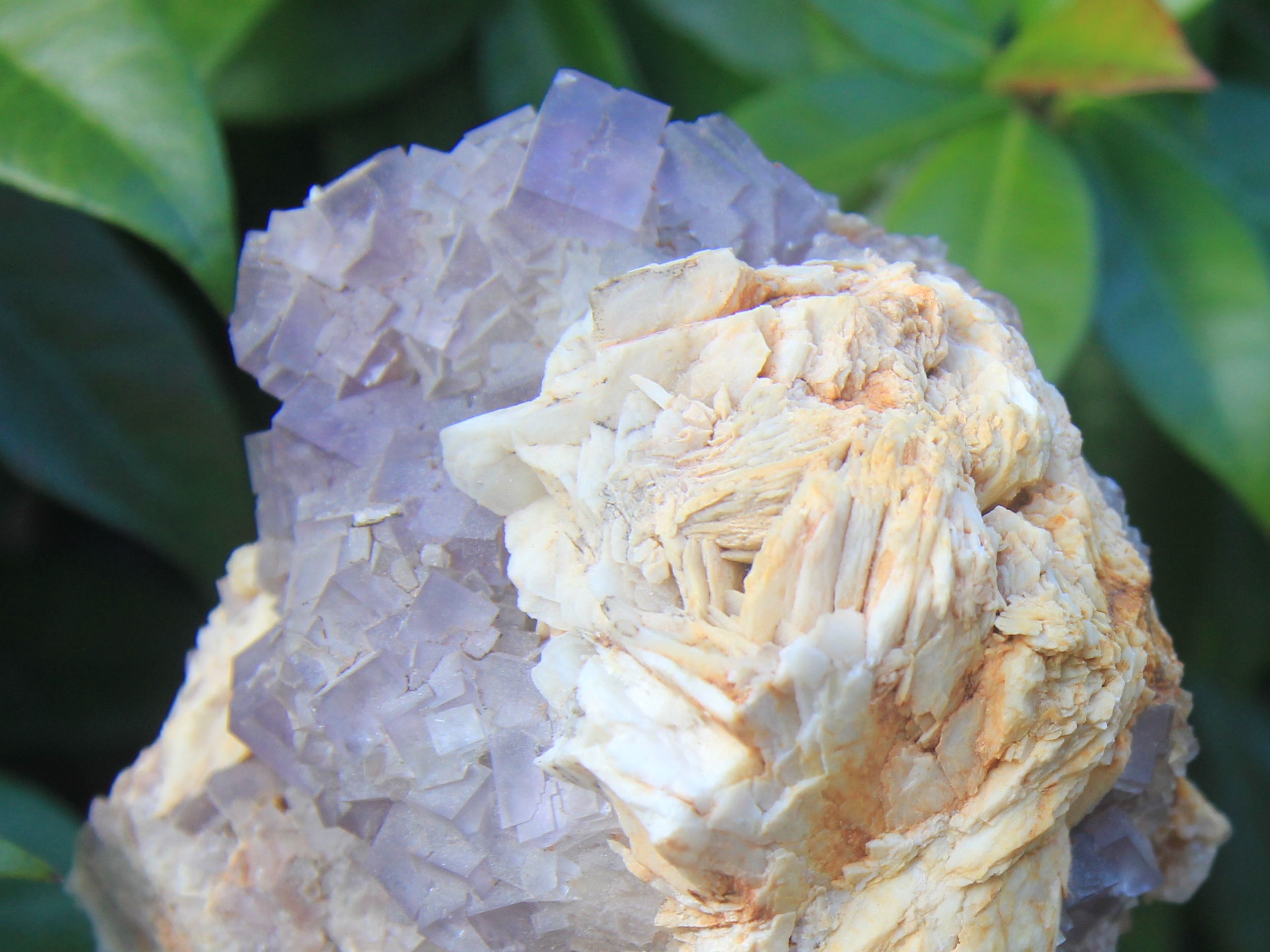 Fluorite and baryte