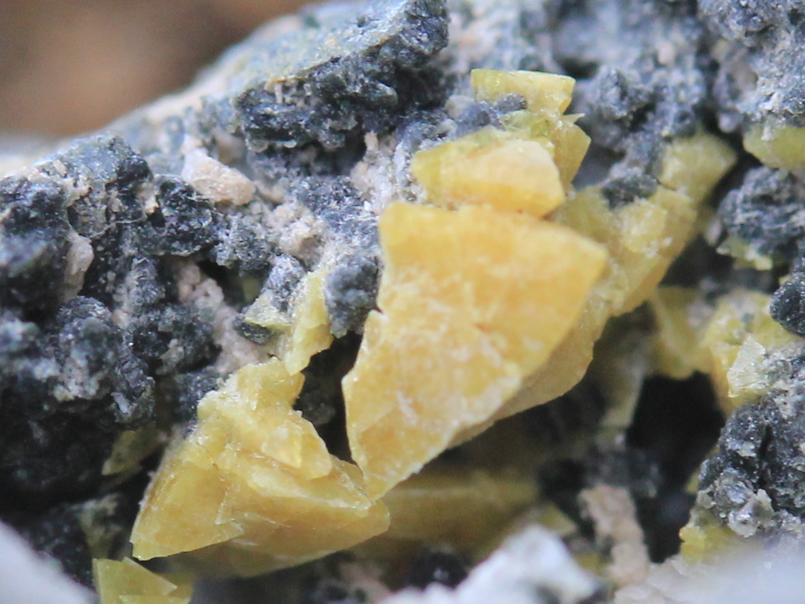 Helvine crystals