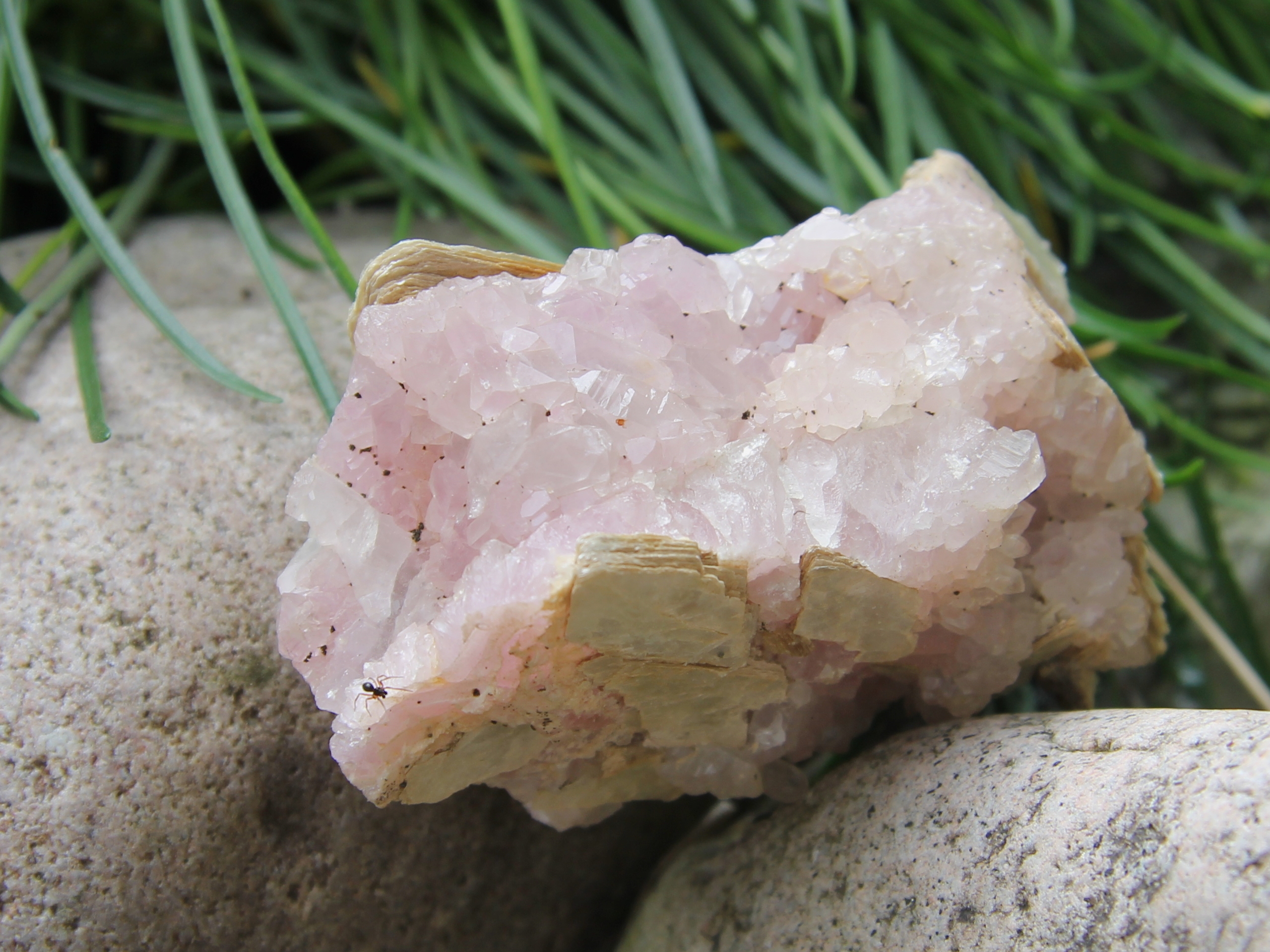 Light-colored rose quartz crystals