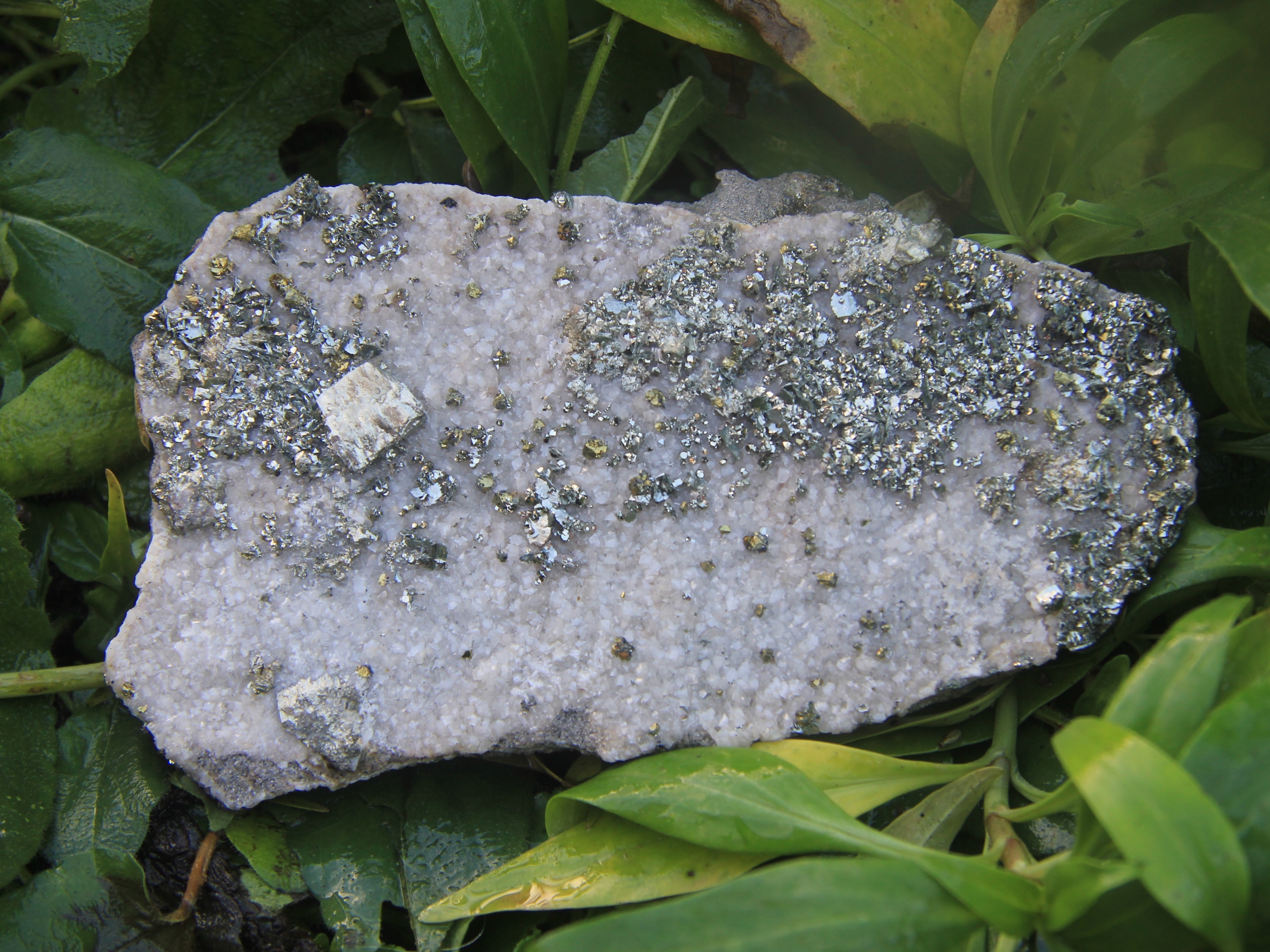 Marcasite on sale and pyrite