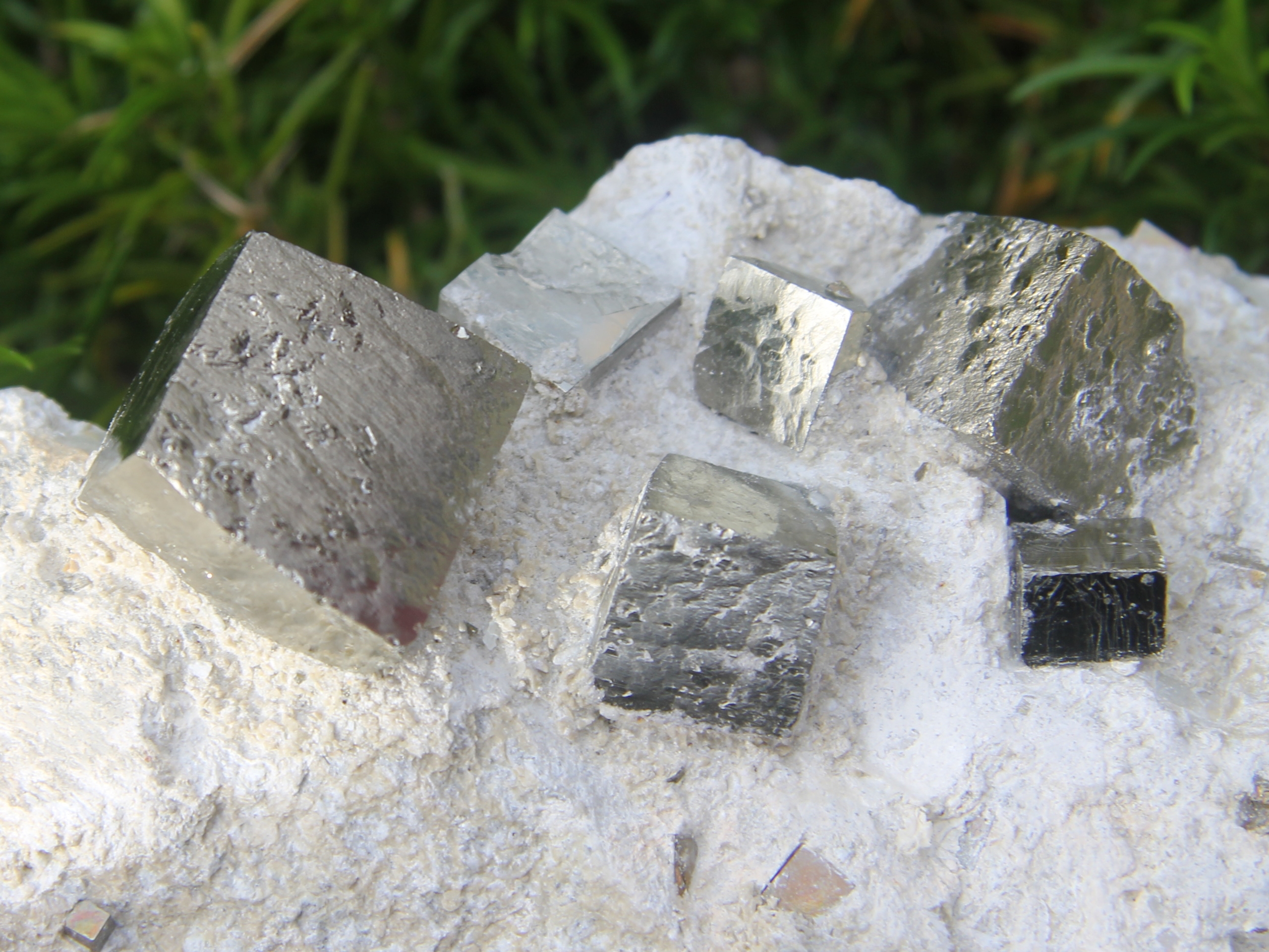 Pyrite in marl