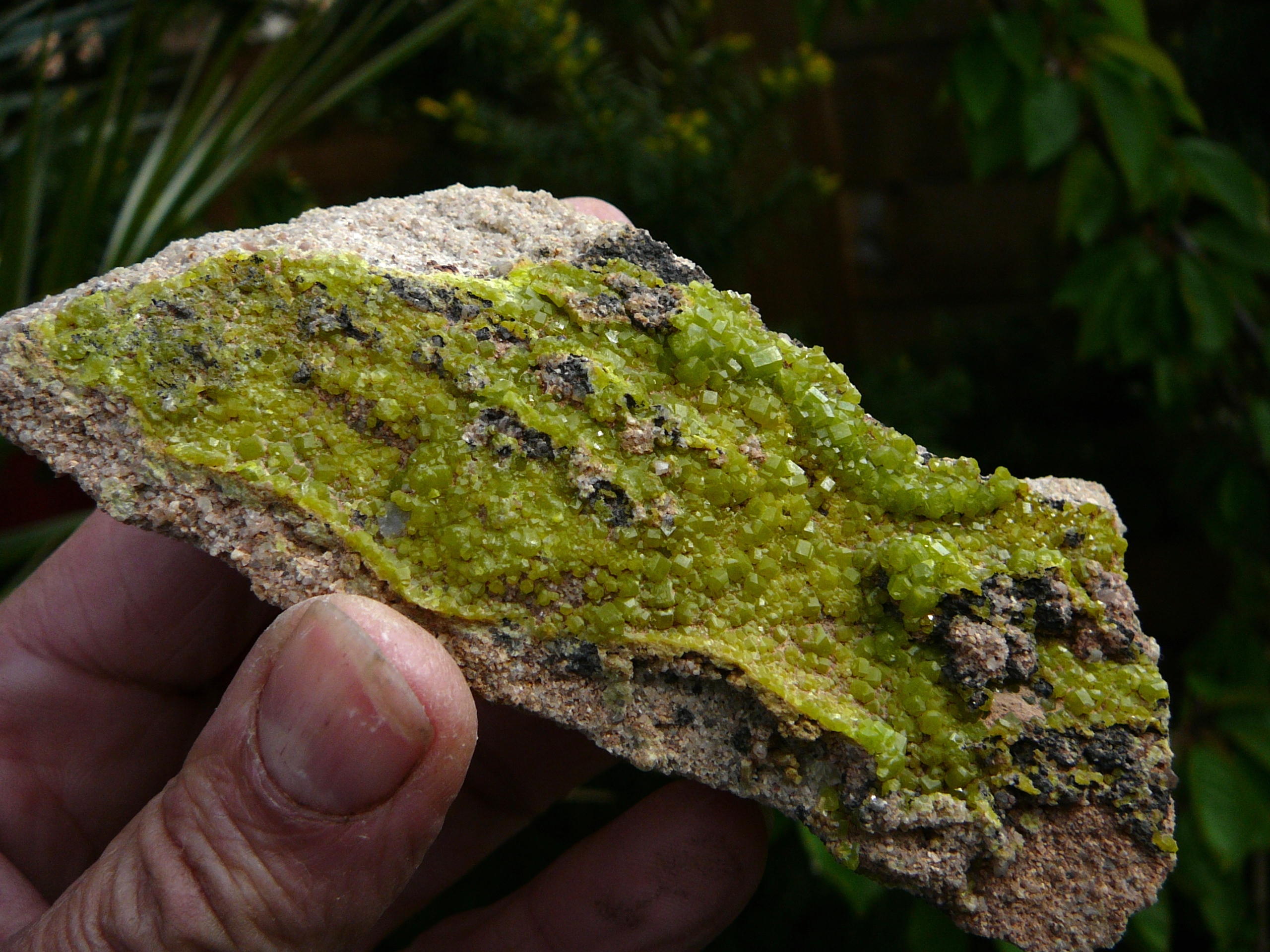 Pyromorphite