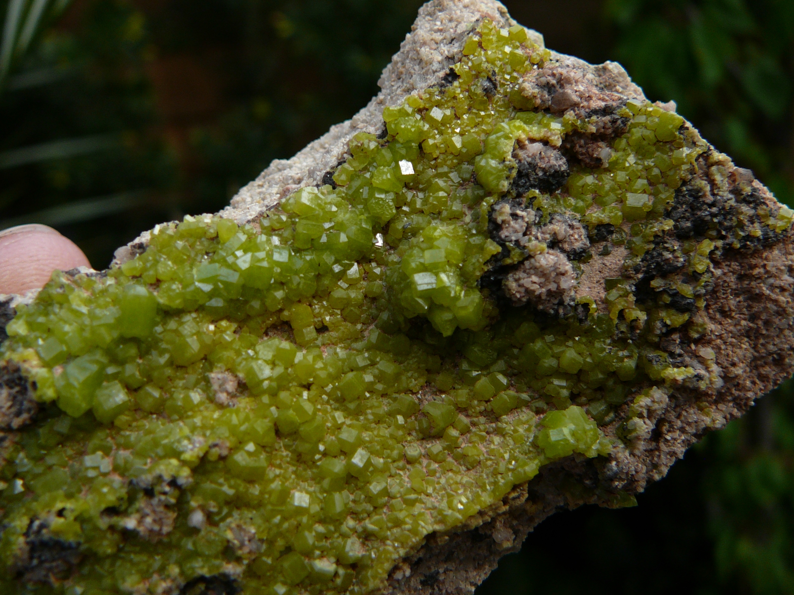 Pyromorphite