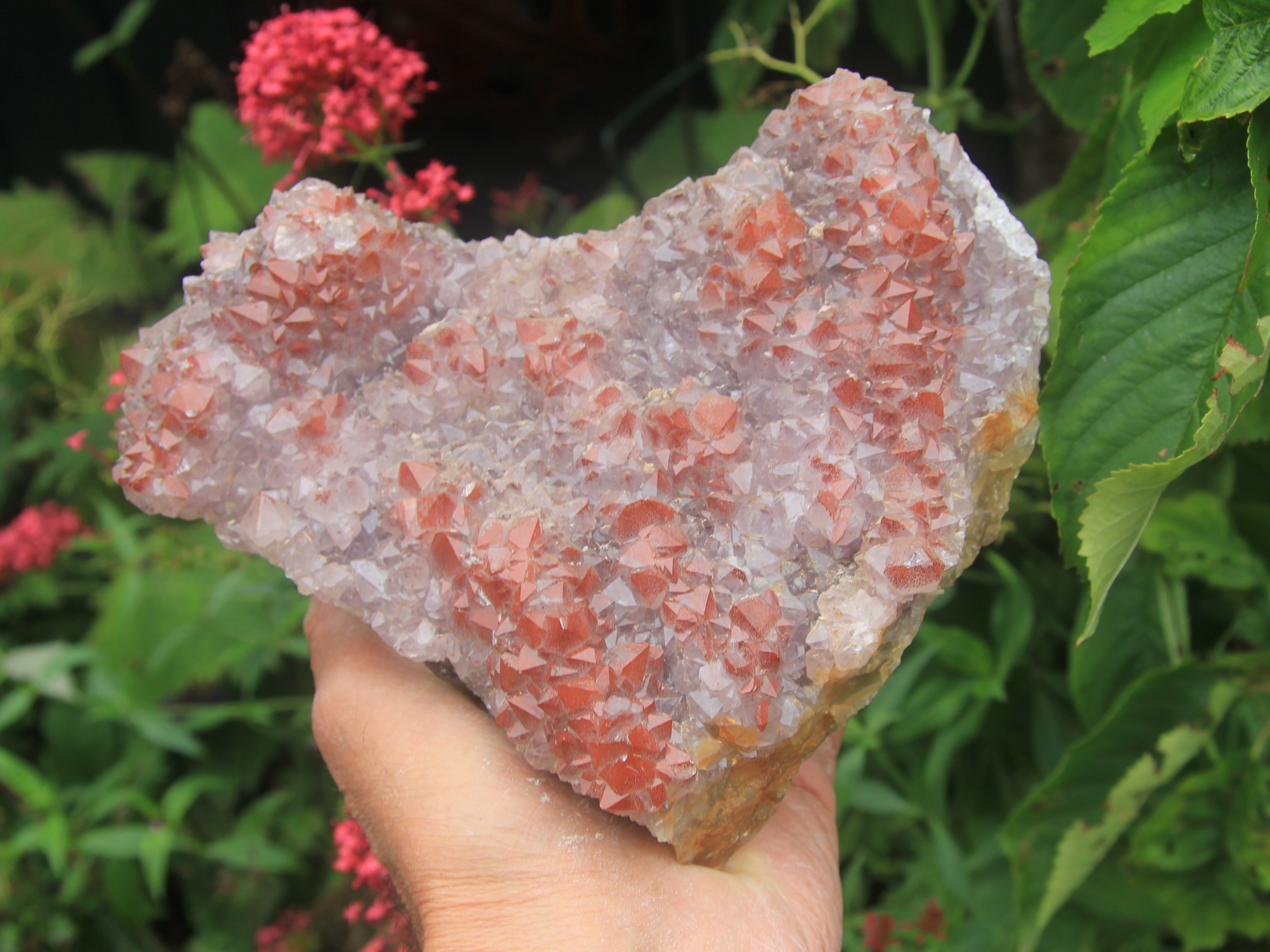 Red "eisenkiesel" (red hemathite inclusions) in Amethyst