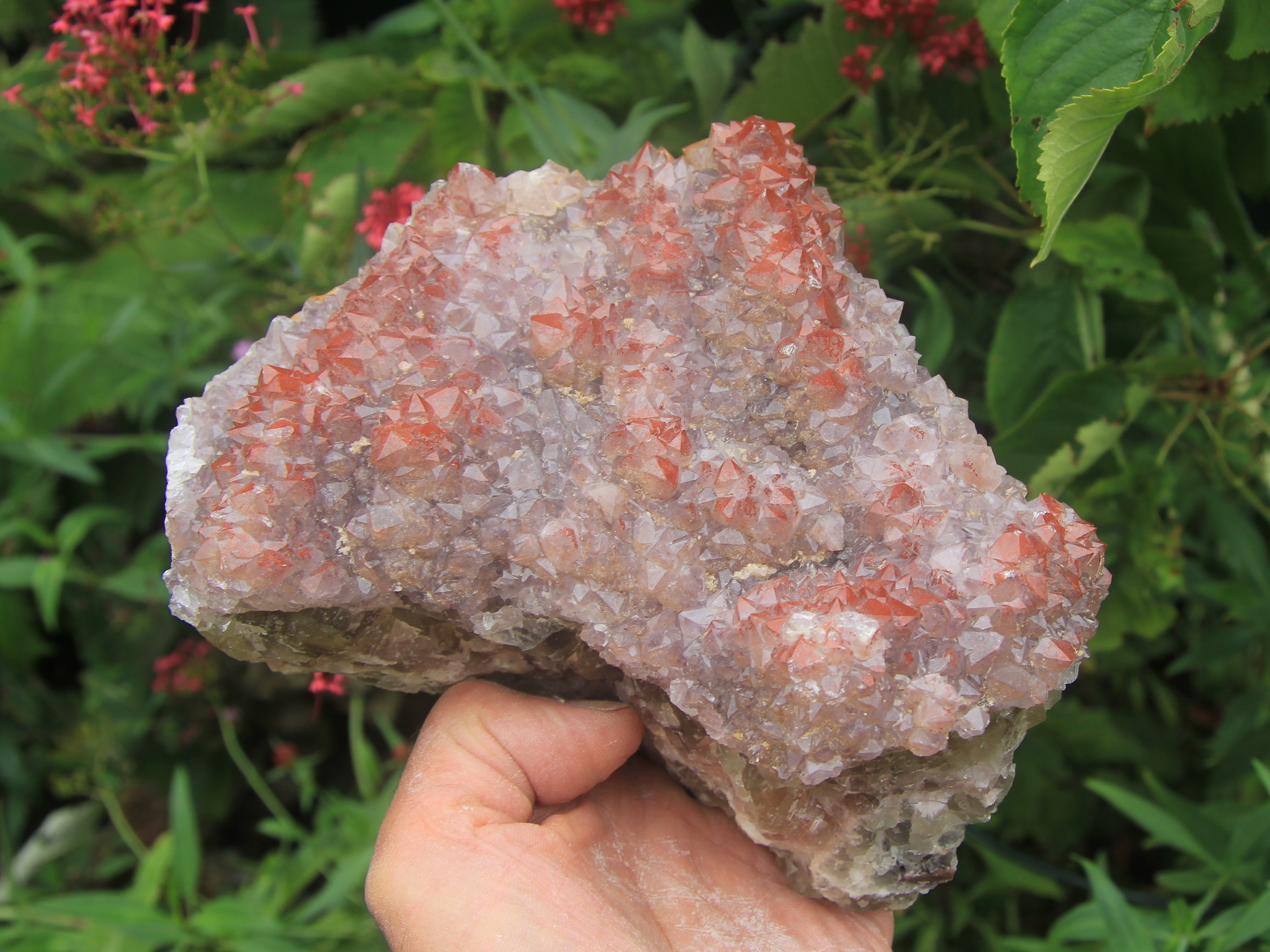 Red "eisenkiesel" (red hemathite inclusions) in Amethyst