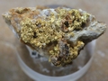 Native gold on quartz